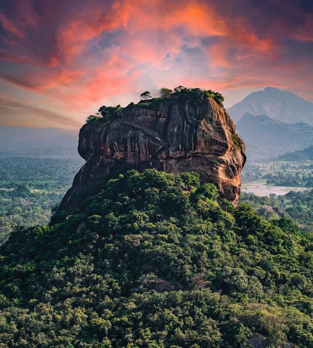 About Octopus Travels